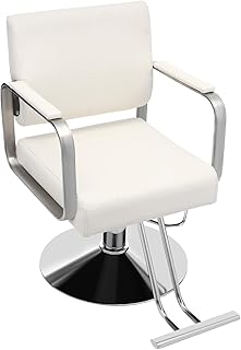 Hydraulic Barber Chair 360° Swivel Spa Beauty Salon Equipment Beauty Chair for Women Man Barbershop Home Max Load Weight 440 lbs (Silver Frame+ White seat)