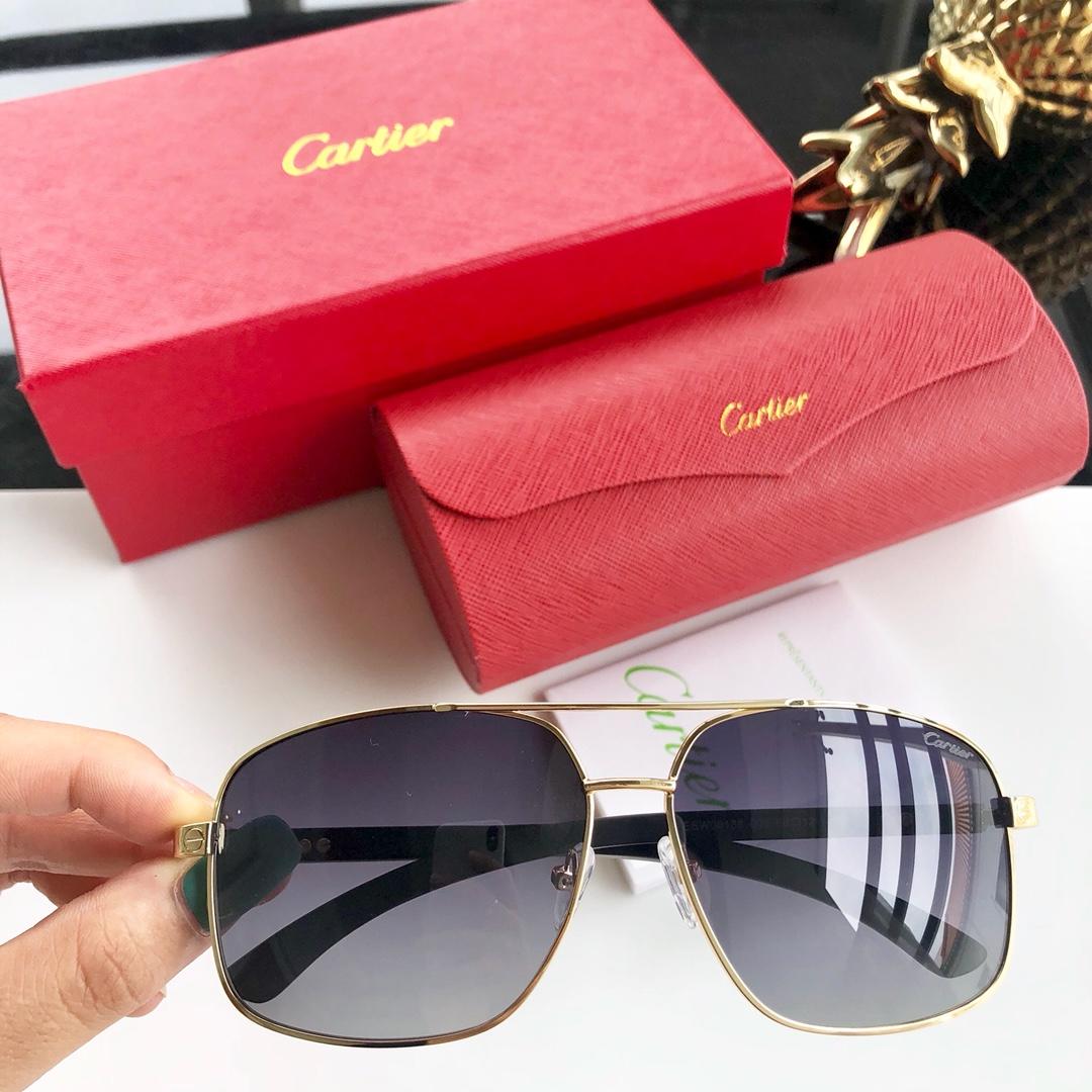 Cartier Men’s Sunglasses ASS650022